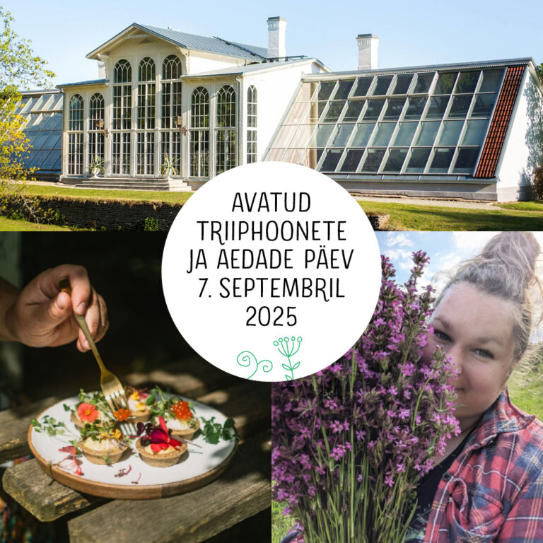 Triiphoonete päev siidrifarmis
